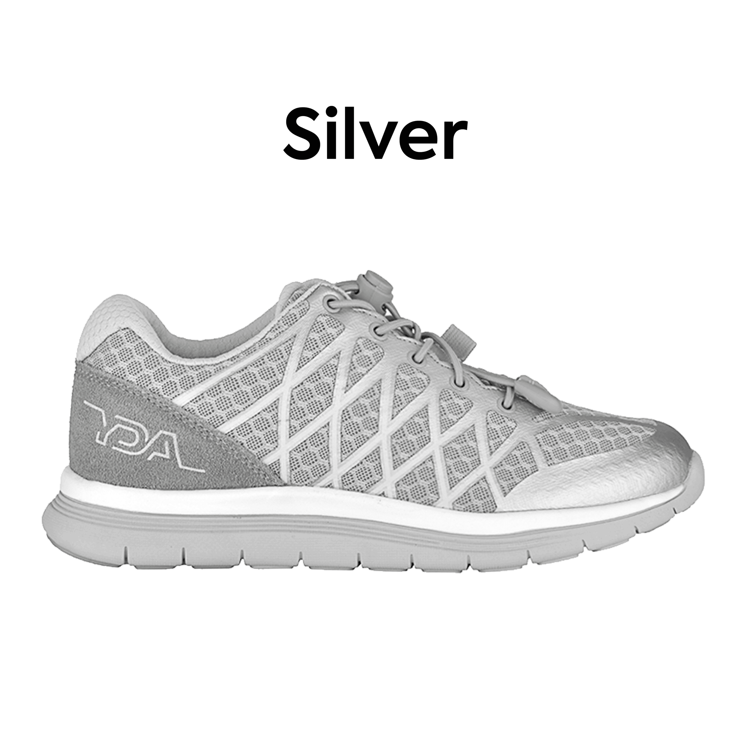 20220401_all YDA shoes_silver